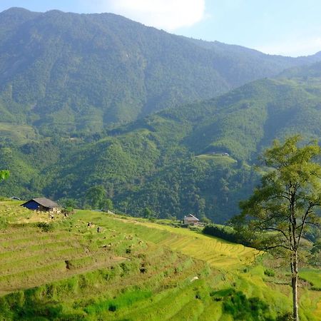 Sapa Hmong Bungalow Homestay Exterior foto