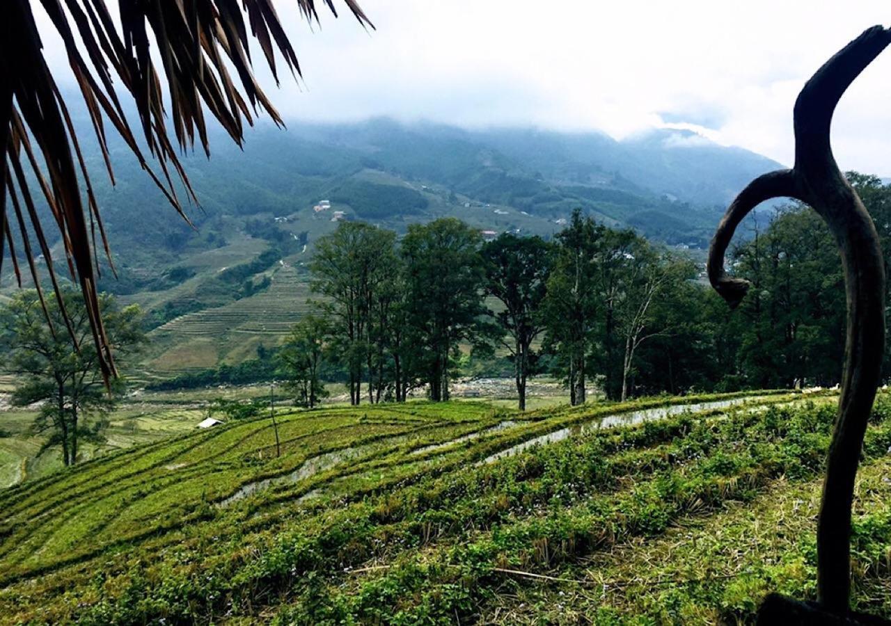 Sapa Hmong Bungalow Homestay Exterior foto